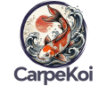 Carpe Koi in italia